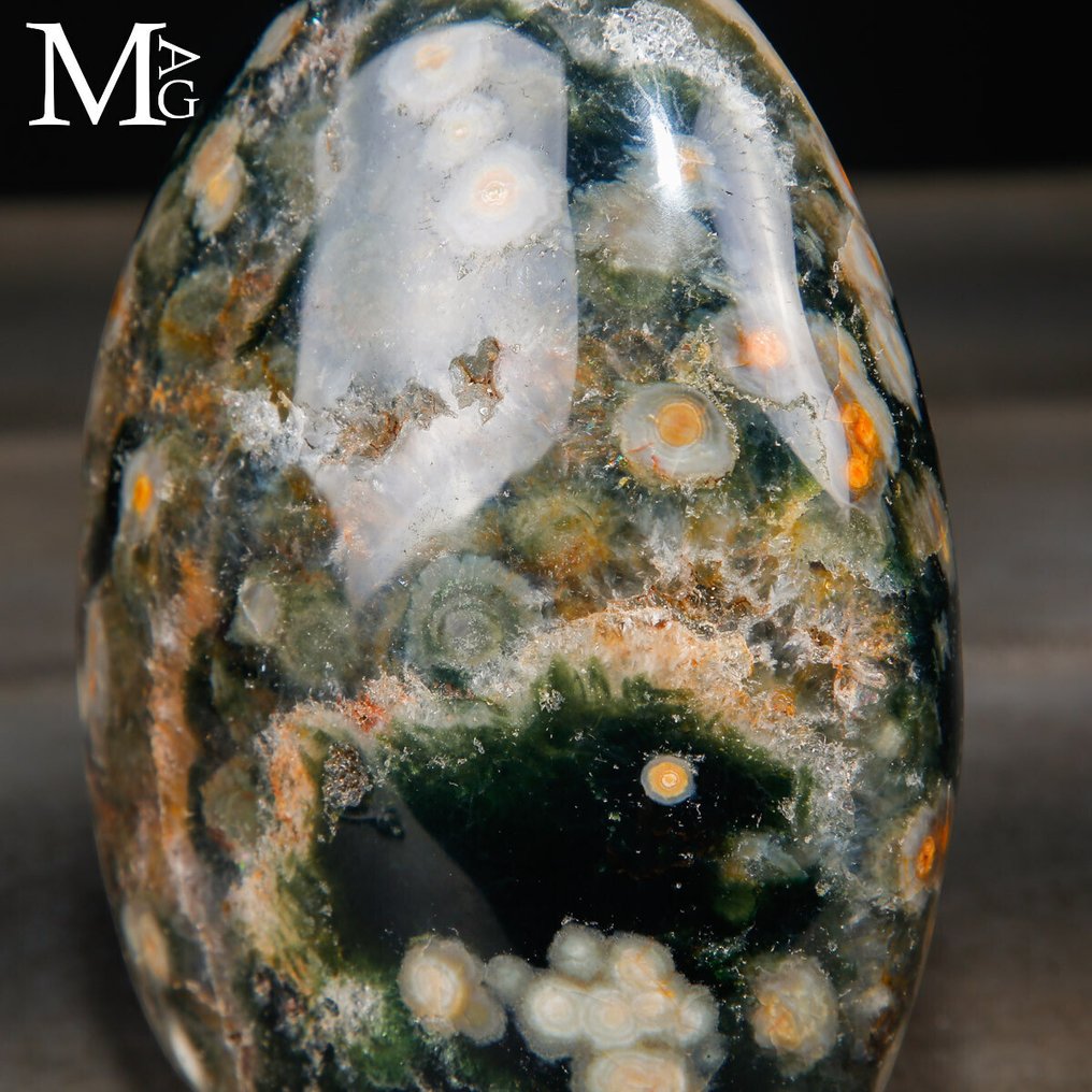 A Ritka 4. Vénájú Óceán Jasper - Orbicular Jasper - Magasság: 146 mm - Szélesség: 100 mm- 1477 g #4.3