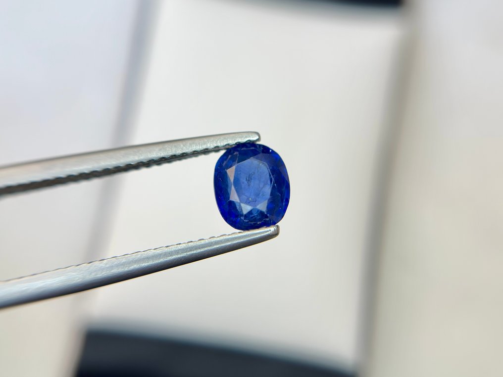 χωρίς τιμή ασφαλείας - 1 pcs  Μπλε Ζαφείρι  - 1.83 ct - Bellerophon Gemlab - Ζαφείρι Ceylon Μπλε #2.1