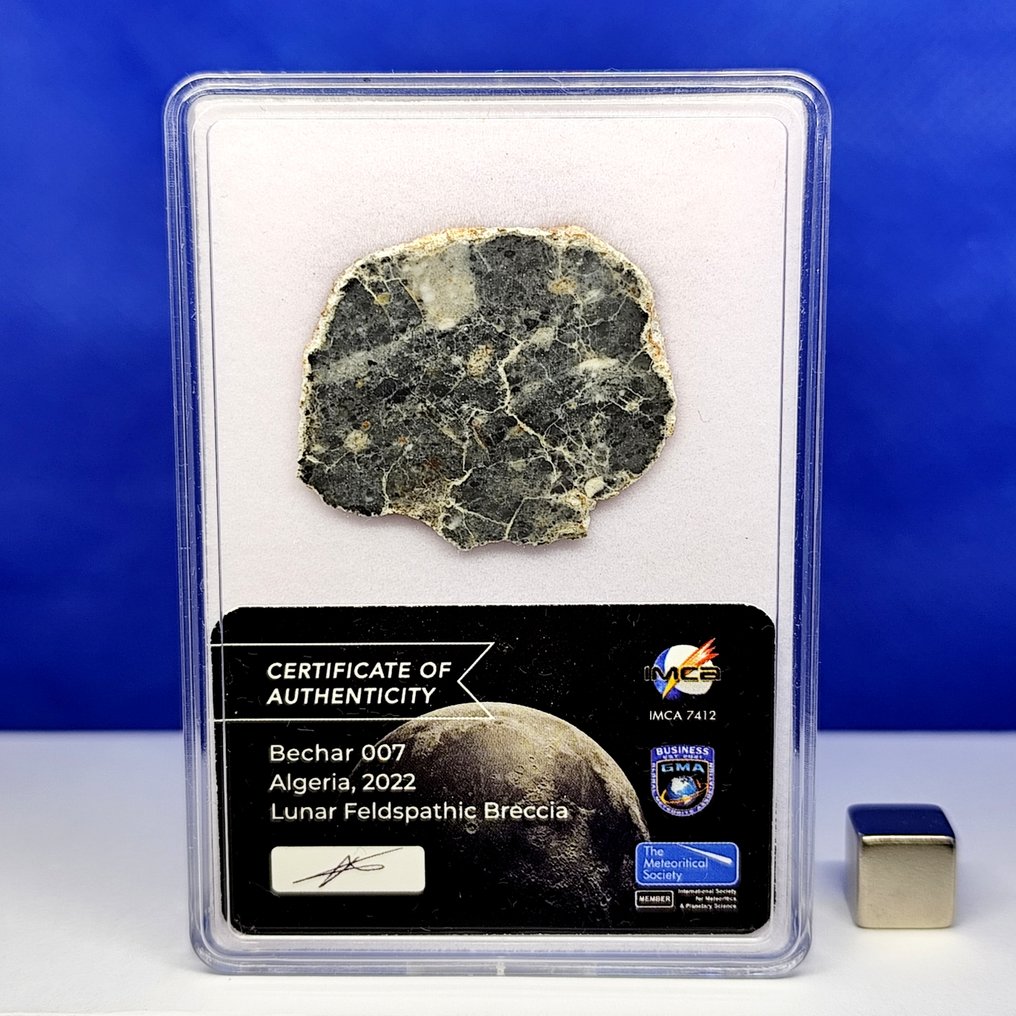 -3.5 cm!- Authentic LUNAR METEORITE SLICE -feldspathic breccia-. BECHAR 007 (Algeria, 2022). Without reserve price! - 4.4 g #1.0