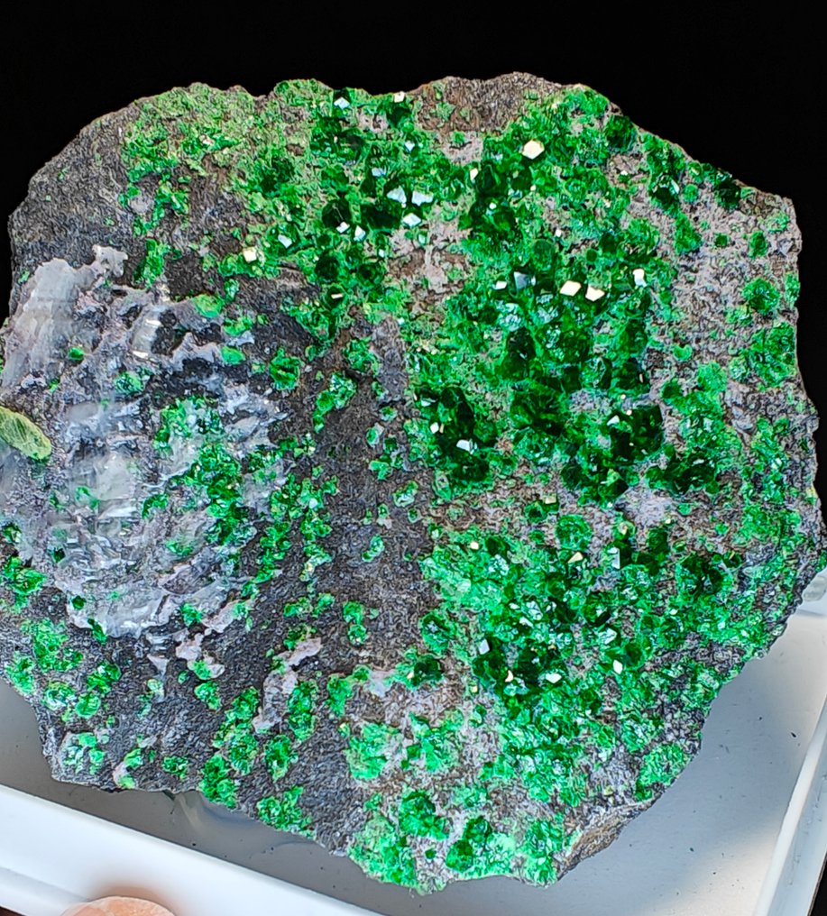 Uvarovite από τη Ρωσία, τοποθεσία τύπου - Ύψος: 7 cm - Πλάτος: 7 cm- 205 g #2.1