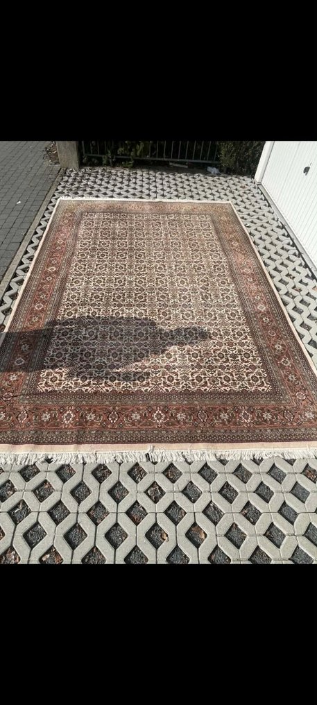 Bidjar - Tæppe - 350 cm - 240 cm #1.0