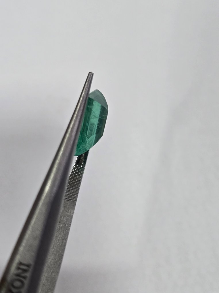 没有保留价 绿色 祖母绿 - 3.05 ct - 莲花宝石实验室 - MINOR OIL - 丰富的绿色 #2.1