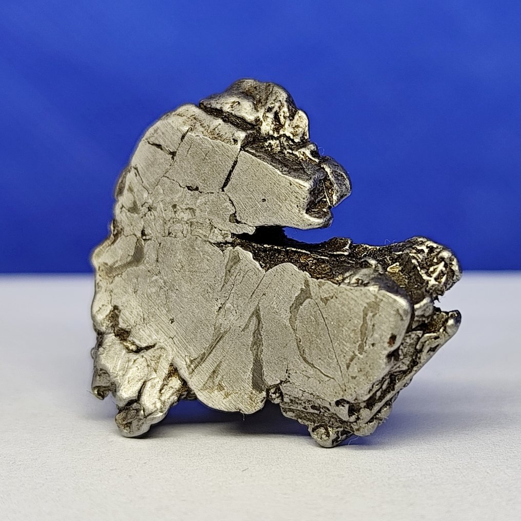 -Endcut- 铁陨石，阿勒泰（中国，1898） Widmanstatten 图案。最佳质量 - 17.5 g #3.2