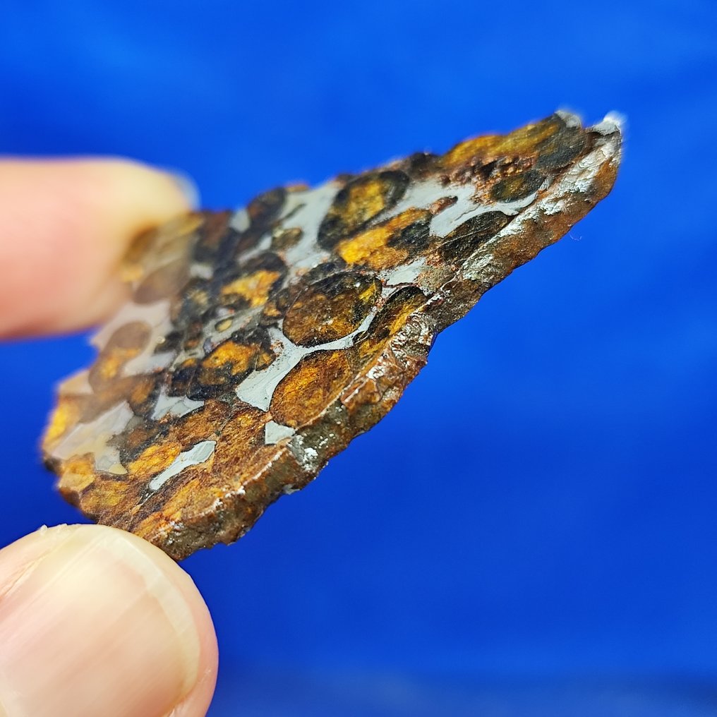 Very nice PALLASITE Slice. SERICHO (Kenya, 2016). Without reserve price! - 19.9 g #2.1