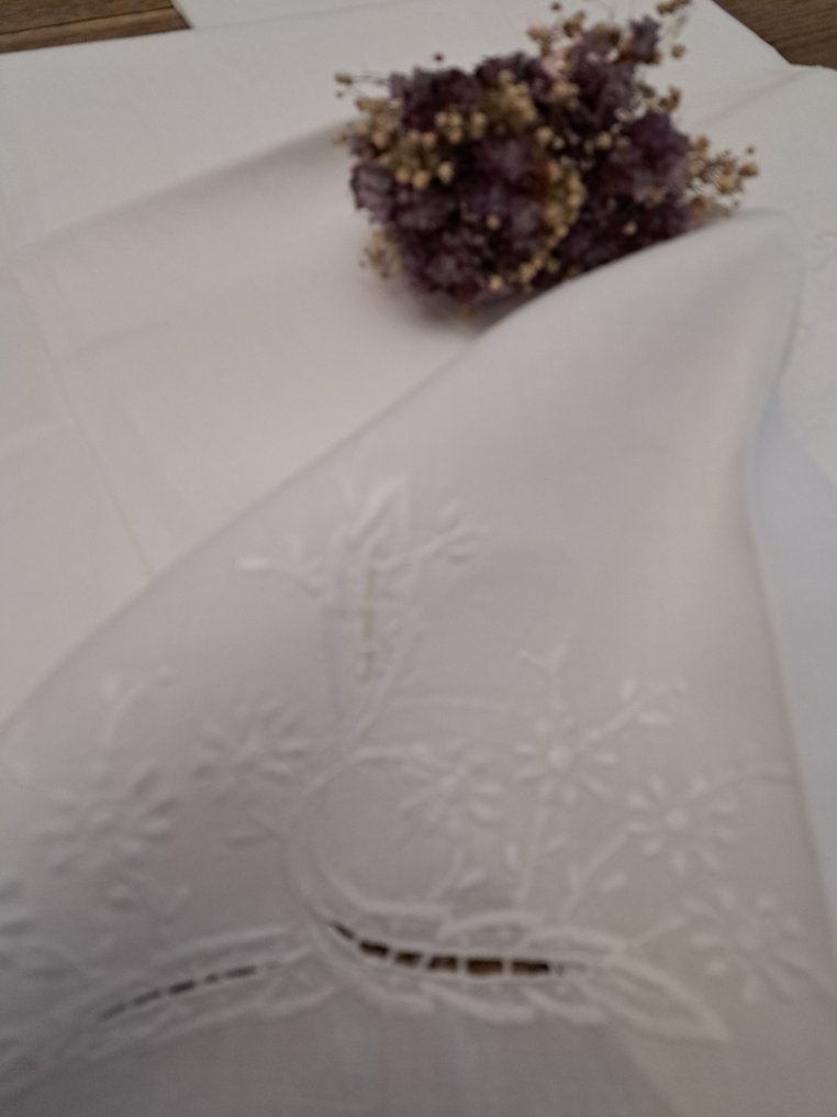 Towel (2) - 105 cm - 78 cm #1.0