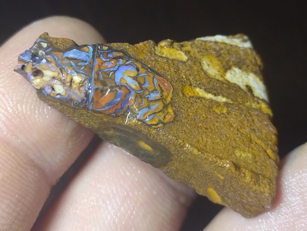286 ct - 4 Opal Boulder Australian Stare brută- 57.2 g #1.0