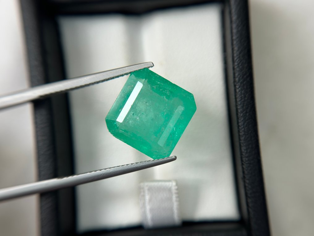 χωρίς τιμή ασφαλείας - 1 pcs Πράσινο Σμαράγδι - 8.45 ct - Bellerophon Gemlab - COLOMBIA ΠΡΑΣΙΝΟ ΣΜΑΡΑΓΔΙ #1.0