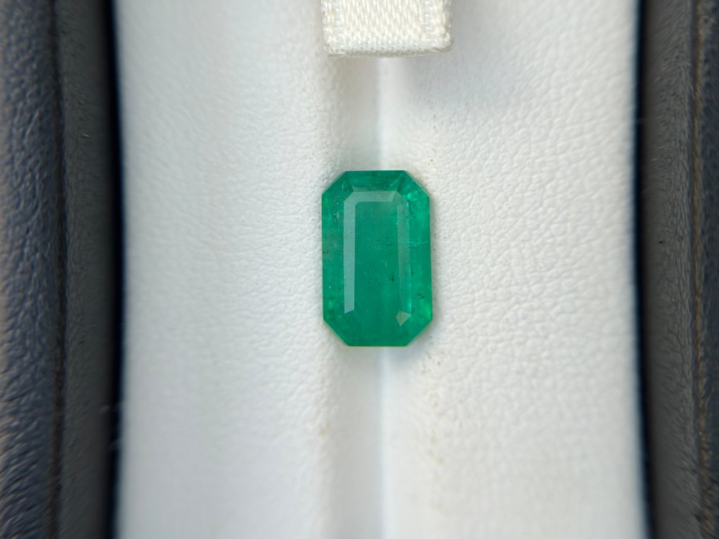 Ingen mindstepris - 1 pcs  Grøn Smaragd  - 2.73 ct - Bellerophon Gemlab - Kun sjælden mindre olie #1.0