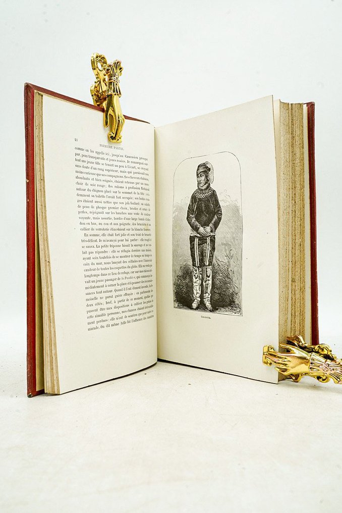 I. J. Hayes & J. L. M. Reclus - La terre de désolation, Excursion d'été au Groenland - 1874 #1.0