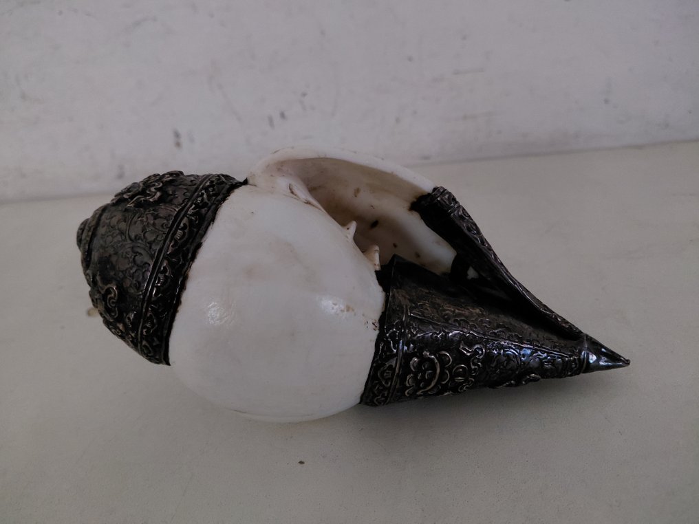 Shankha 仪式 - 西藏  (没有保留价) #4.3