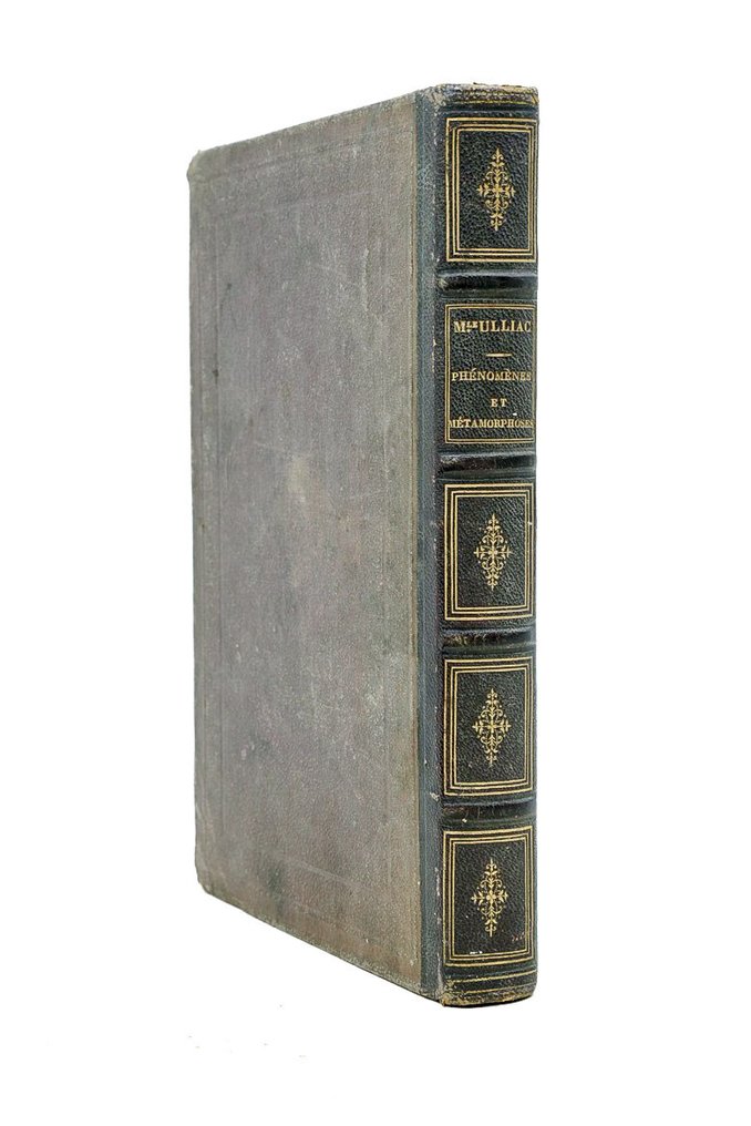 Mlle Ulliac-Trémadeure - Phénomènes et métamorphoses. causeries sur les paillons, les insectes et les Polypes - 1855 #2.1