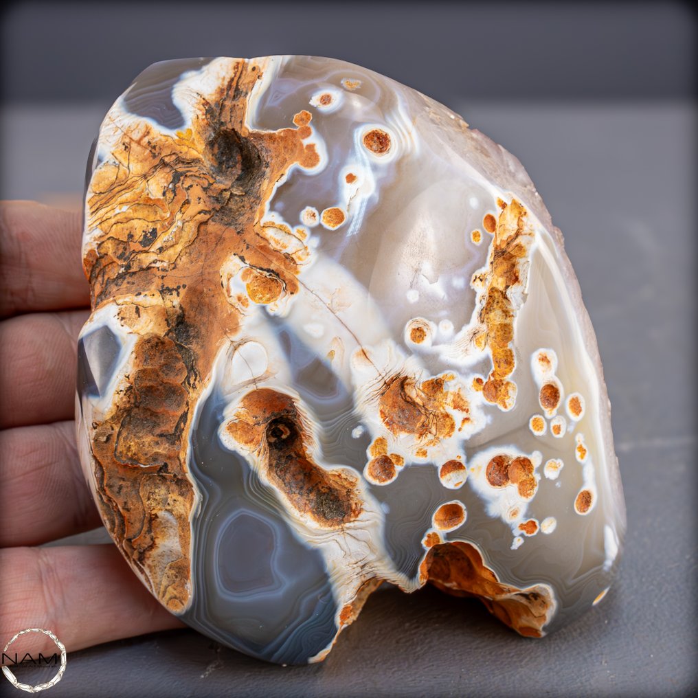 Druse d'améthystes exclusives à l'achat, d'Uruguay Élégance profonde & éclat en perfection- 907.82 g #2.1