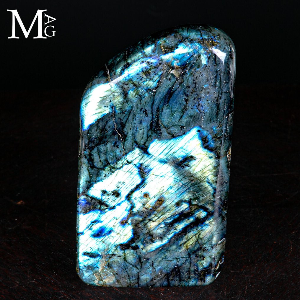 Labradorite de máxima calidad, forma libre - luz dorada/azul. - Altura: 231 mm - Ancho: 128 mm- 3062 g #4.3