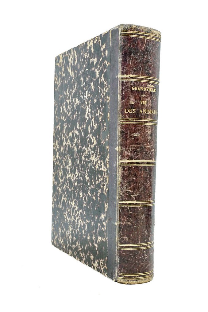 J. J. Grandville - Vie privée et publique des animaux - 1867 #2.1