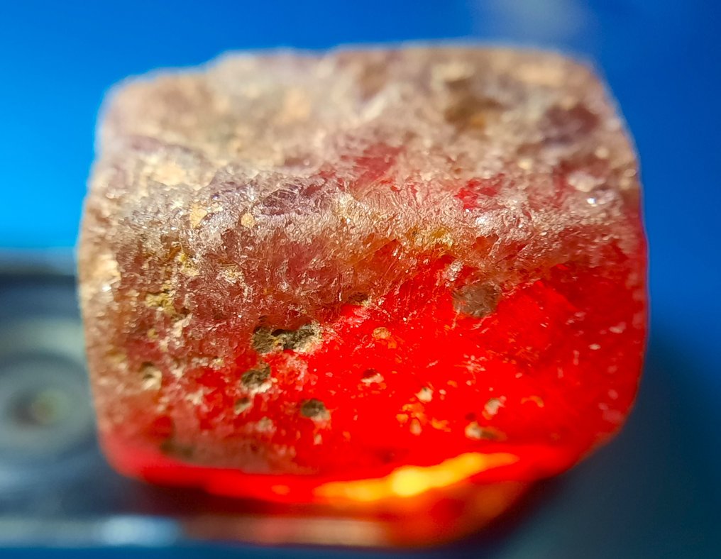 31,8 ct - Kezeletlen természetes rubin - Durva- 6.36 g #3.2