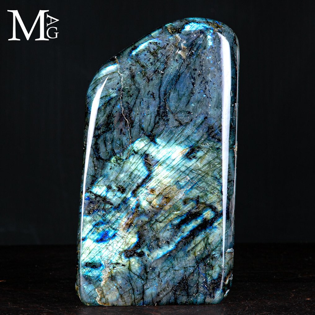Labradorite de máxima calidad, forma libre - luz dorada/azul. - Altura: 231 mm - Ancho: 128 mm- 3062 g #1.0