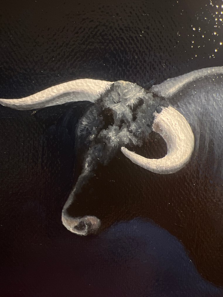 Zalkar Toktogulov - The Shadow #1.0