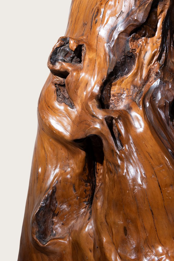 A fine large sculptural work carved from a single tree root - 雕塑 木 - 日本 - 明治时期（19世纪后期） #2.1
