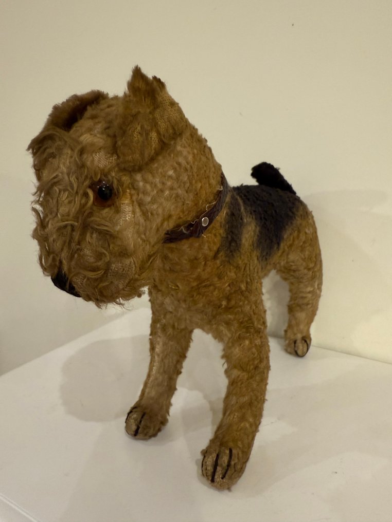 Steiff - Plüss állat Szeiff Airedale terrier (button in ear) - 1920-1930 - Németország #1.0