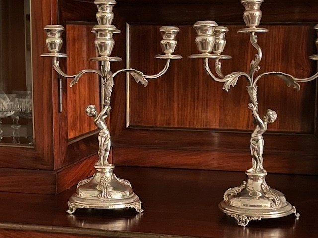 枝状大烛台 (2) - 银 #1.0