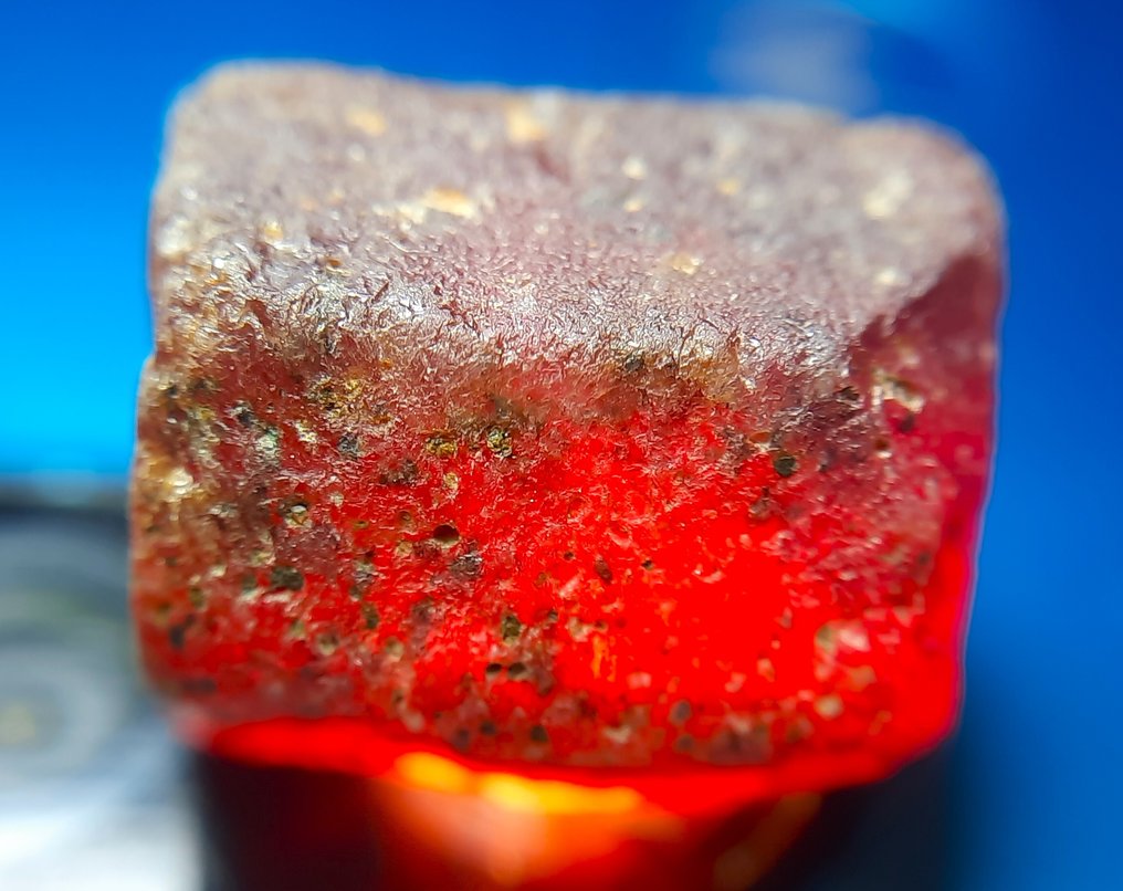 31,8 ct - Kezeletlen természetes rubin - Durva- 6.36 g #1.0