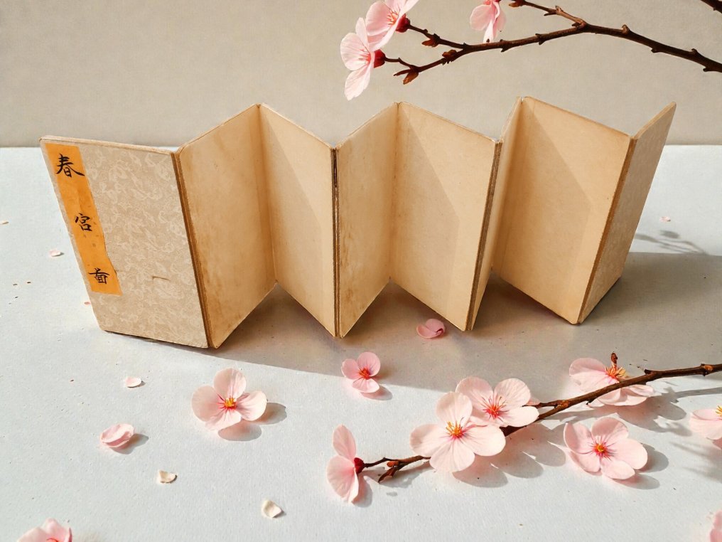 Unknown - Chinese erotic accordion album - 1960 #3.2