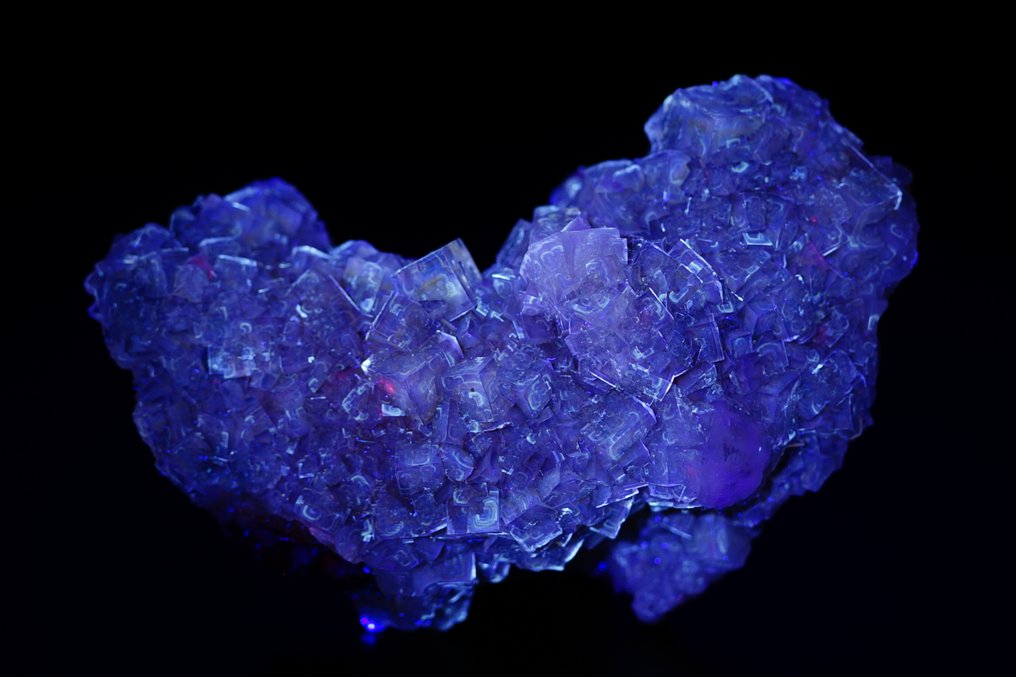 470 g fluoresoivaa Golden Sparkle Fluoritea, jossa on pyriitti-insertioita. Intensiivinen keltainen suuri klusteri - TOP - Korkeus: 11.3 cm - Leveys: 7.1 cm- 470 g #3.2