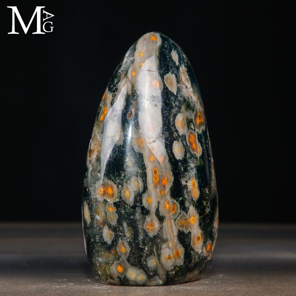 A Ritka 4. Vénájú Óceán Jasper - Orbicular Jasper - Magasság: 146 mm - Szélesség: 100 mm- 1477 g #2.1