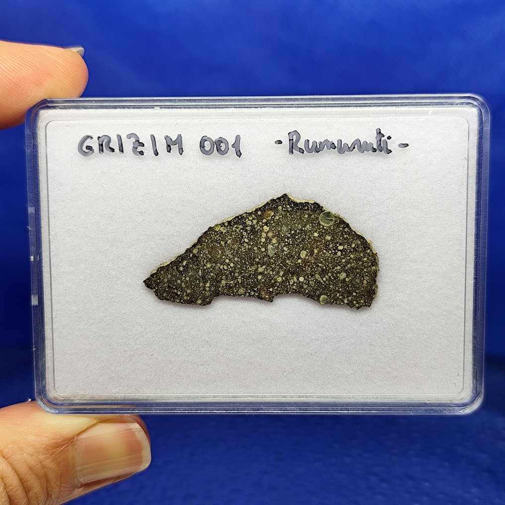 （4.2 厘米！）- 世界仅有 3.9 千克 - RUMURUTI R3 球粒陨石。 GRIZIM 001（阿尔及利亚，2021年）。 - 2.4 g #1.0