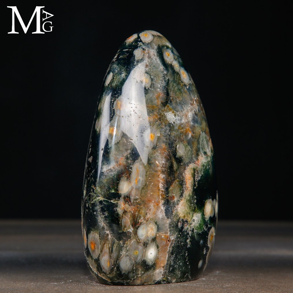 A Ritka 4. Vénájú Óceán Jasper - Orbicular Jasper - Magasság: 146 mm - Szélesség: 100 mm- 1477 g #3.2