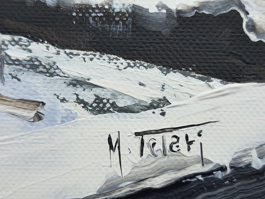 Michele Telari - Neve a Central Park #2.1