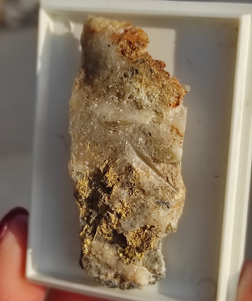 Gold Crystals on matrix - Height: 1 cm - Width: 2.5 cm- 10.41 g - (1) #2.1