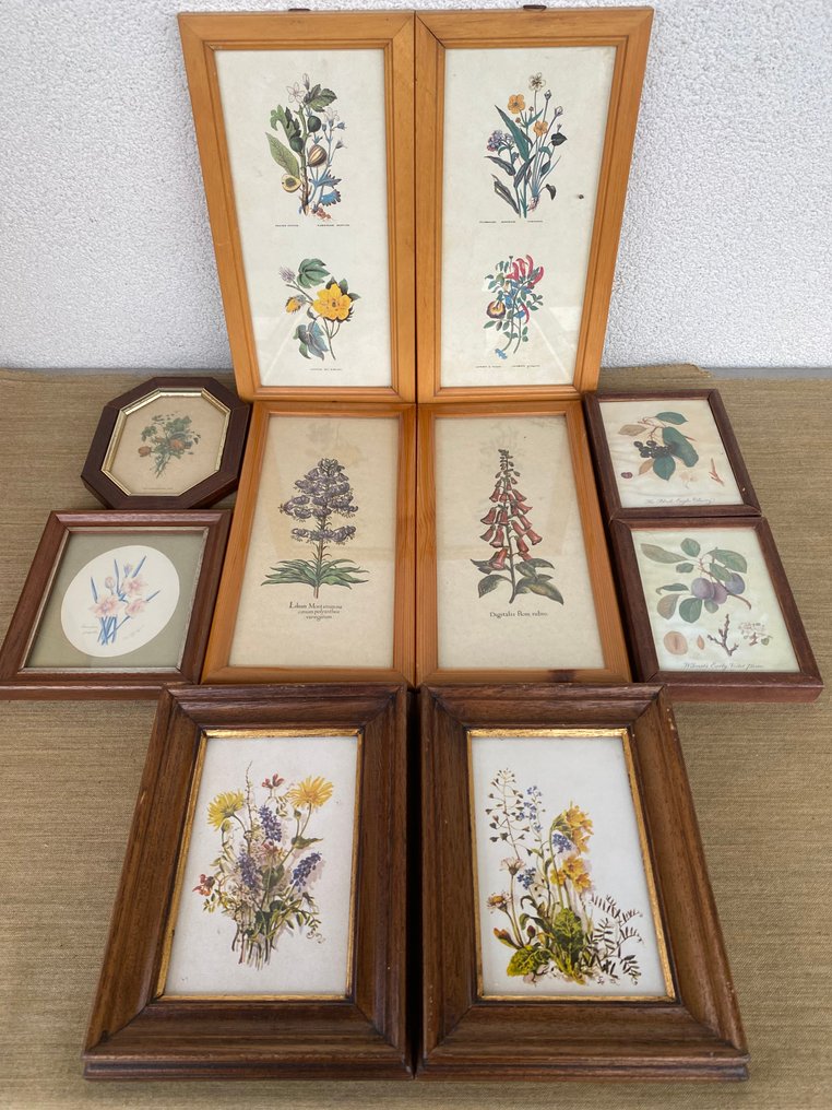 框架 (10)- 植物和花卉  - 木, 彩色平版印刷 #1.0