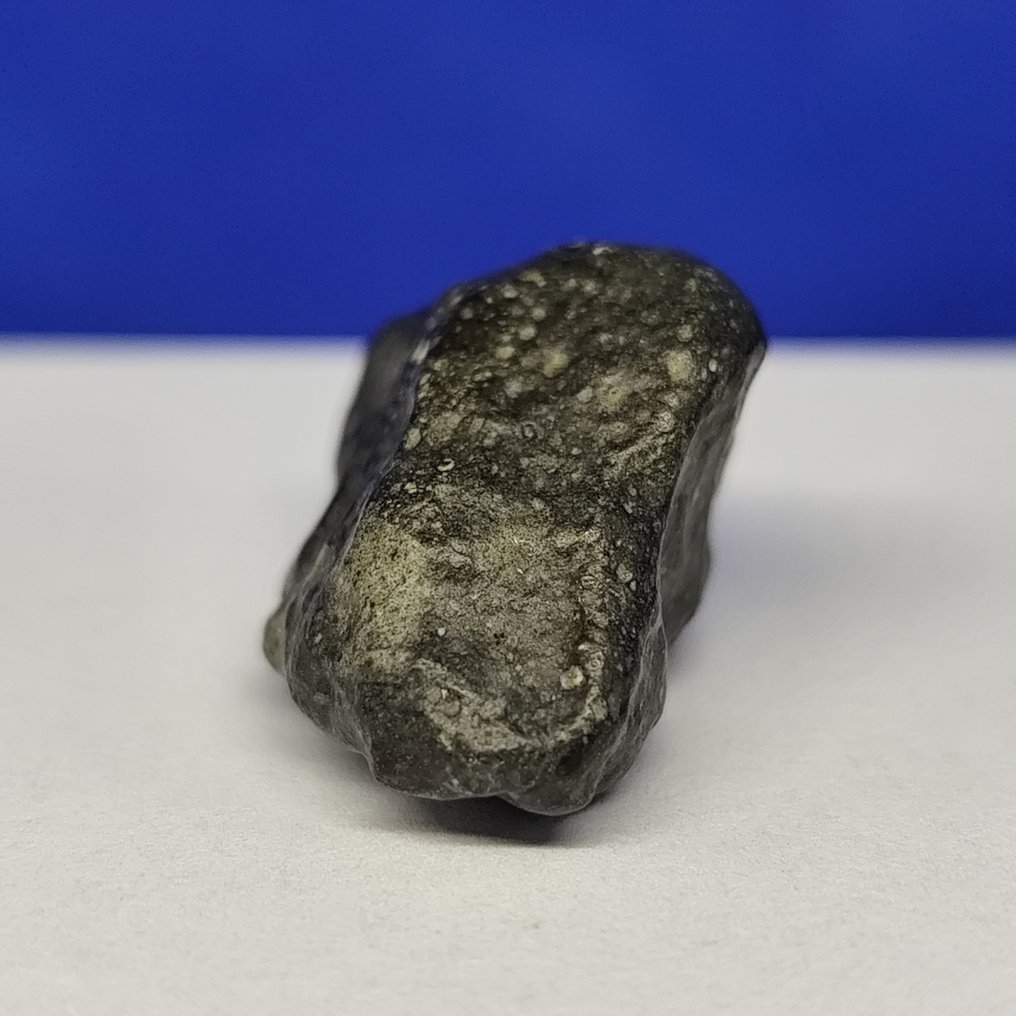-Only 1959 g in the world- RUMURUTI Chondrite R3-6. NWA 13683 (Sahara, 2018) Without reserve price! - 9.3 g #4.3