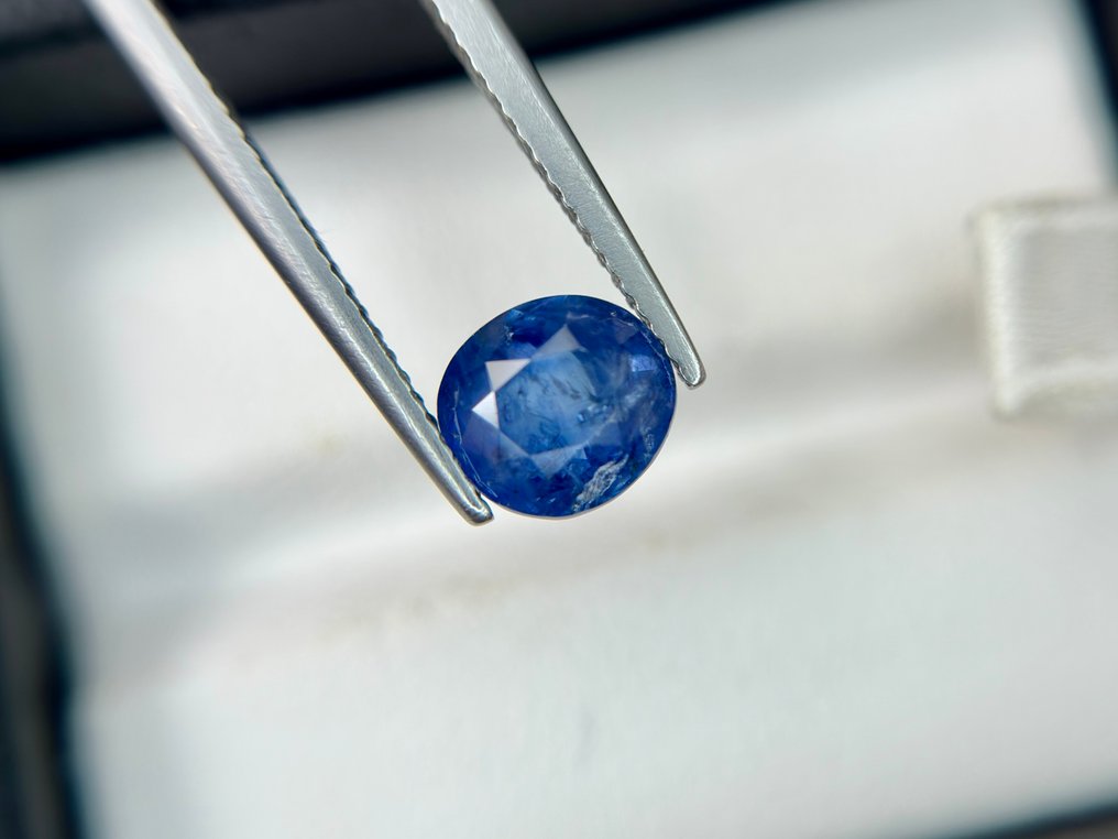 没有保留价 - 1 pcs  蓝色 蓝宝石  - 2.80 ct - Bellerophon 宝石实验室 - 锡兰蓝宝石 #1.0