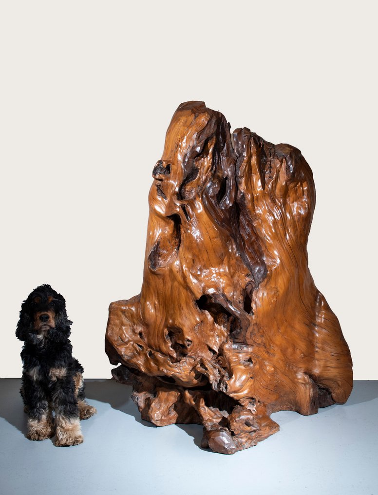 A fine large sculptural work carved from a single tree root - 雕塑 木 - 日本 - 明治时期（19世纪后期） #1.0