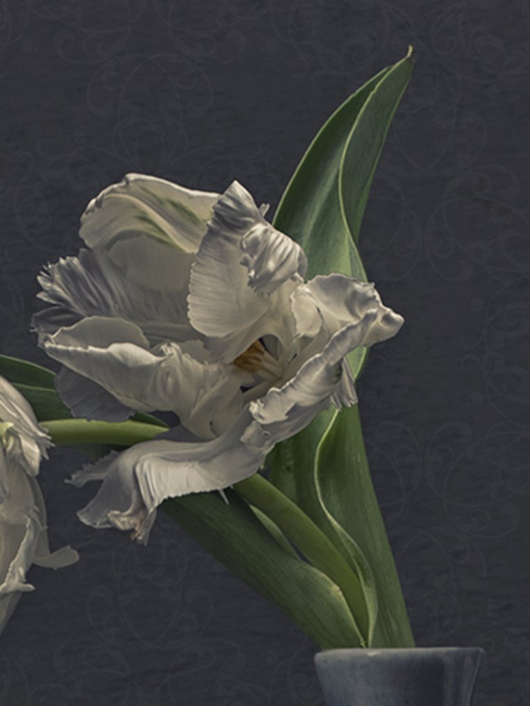 Ursula van de Bunte - Just the Two of Us #2.1