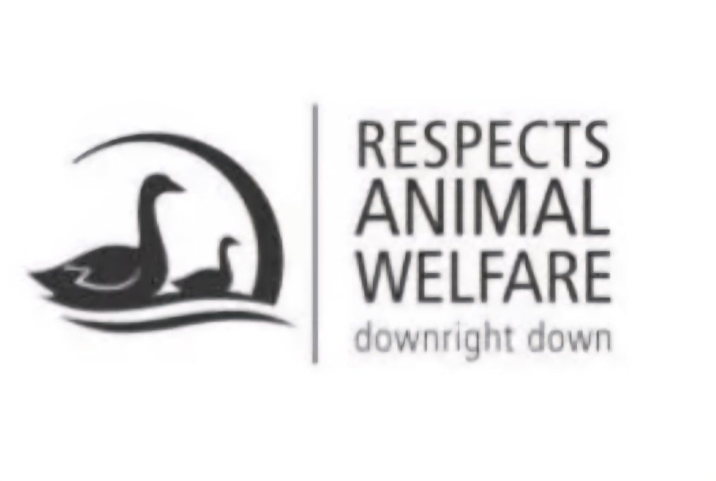 Kauffmann 原装冬季保暖羽绒被 King Size 250x220cm - 棉被  - 250 cm - 220 cm #3.2