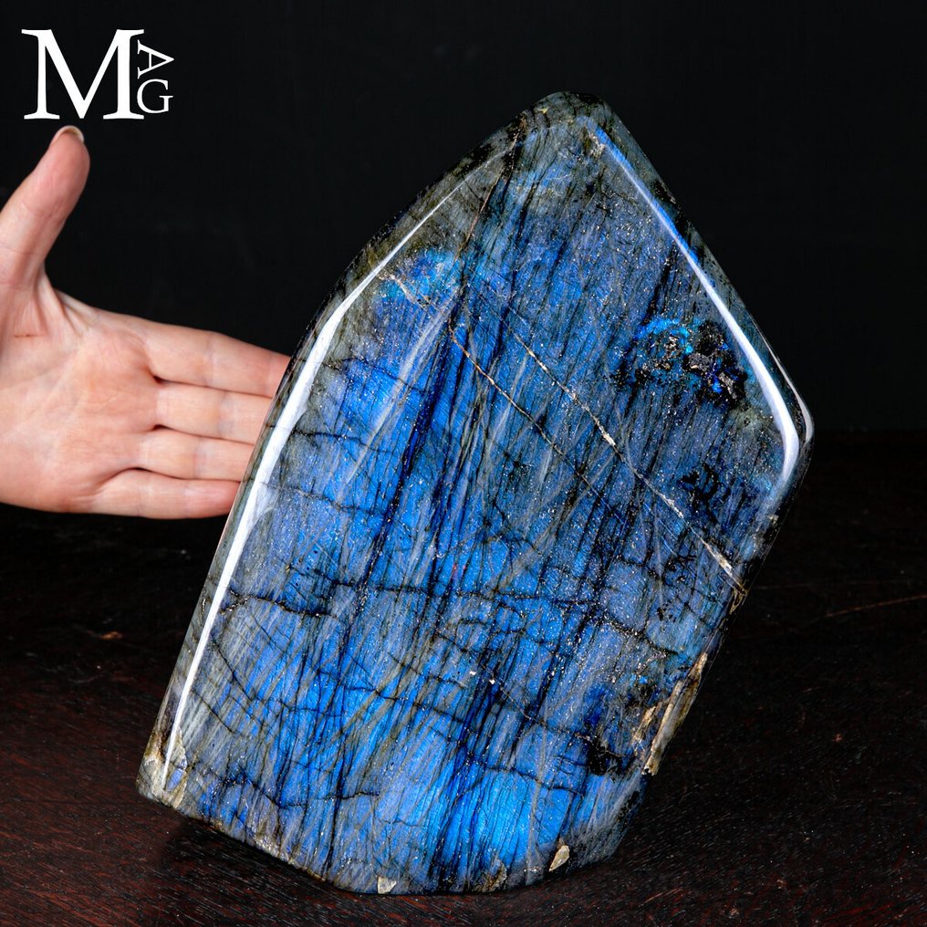 Top Quality Labradorite Free Form - Golden/Blue Light - Altezza: 250 mm - Larghezza: 152 mm- 6262 g #1.0