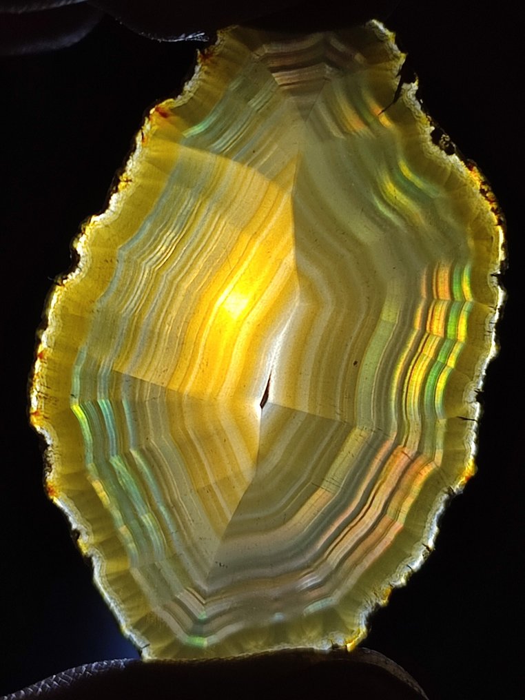 Prezzo senza riserva – Stupendo agata iris arcobaleno Fetta - Altezza: 52 mm - Larghezza: 35 mm- 5.47 g #1.0