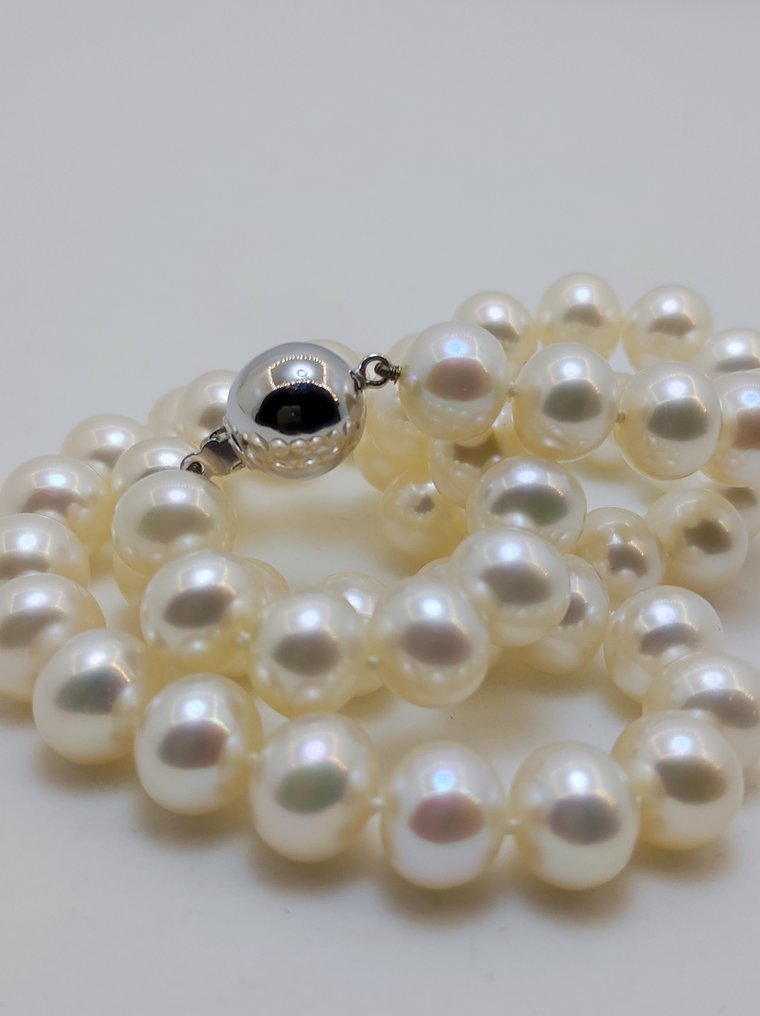 χωρίς τιμή ασφαλείας - Σειρά από χάντρες - 14 καράτια Λευκός χρυσός Μαργαριτάρι - Γλυκό νερό Ø 9,2 mm #2.1