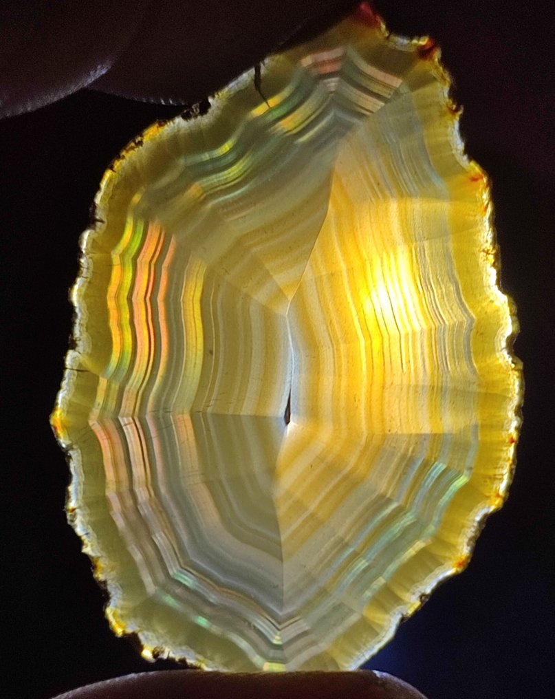 Prezzo senza riserva – Stupendo agata iris arcobaleno Fetta - Altezza: 52 mm - Larghezza: 35 mm- 5.47 g #3.2