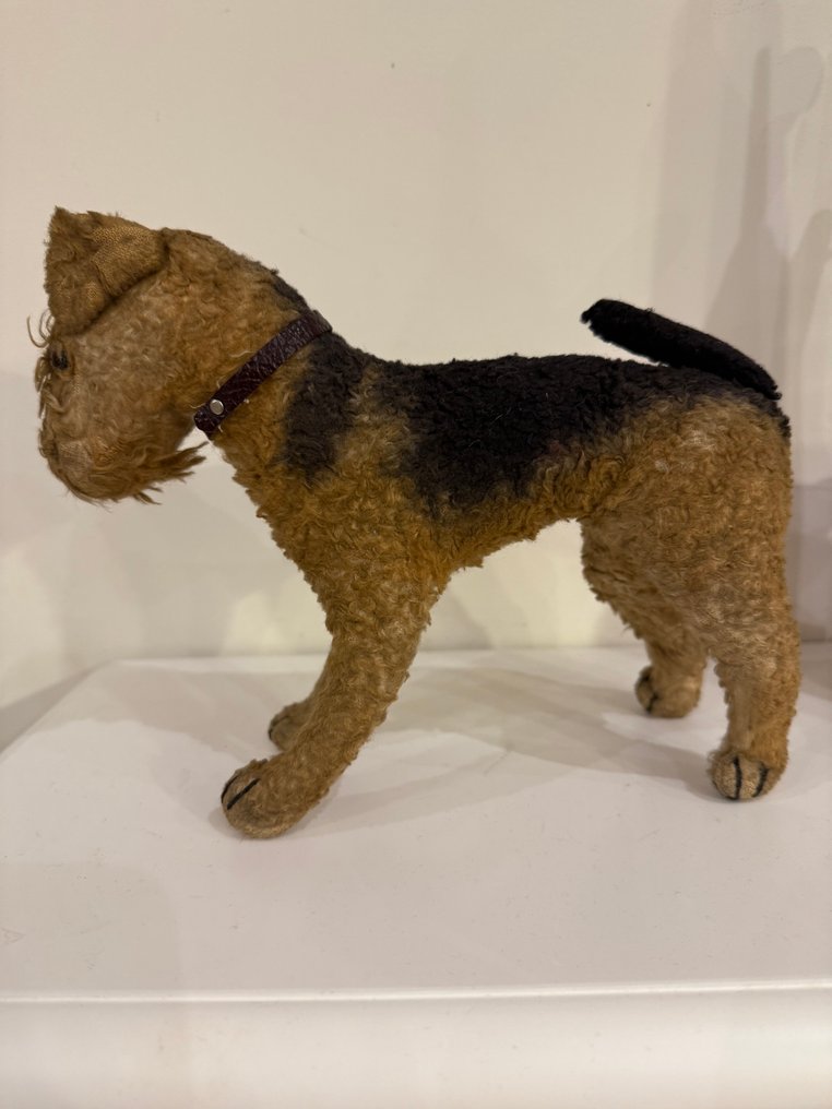 Steiff - Plüss állat Szeiff Airedale terrier (button in ear) - 1920-1930 - Németország #2.1