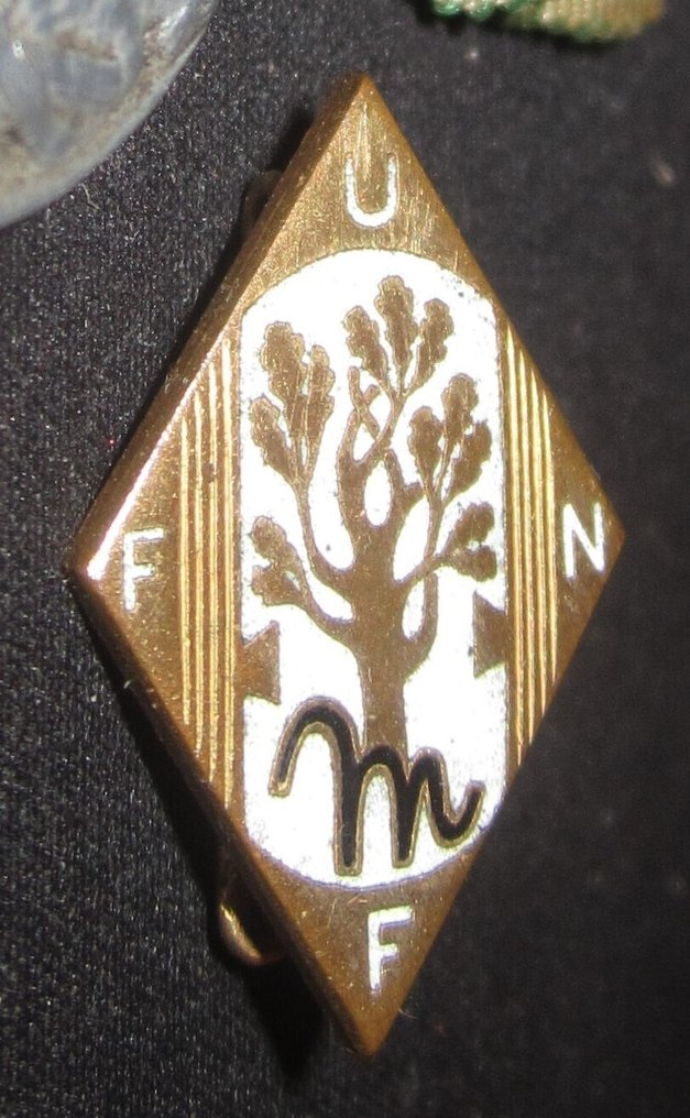 意大利 - 军事勋章 - 奖章和徽章 联盟家庭众多 #4.3