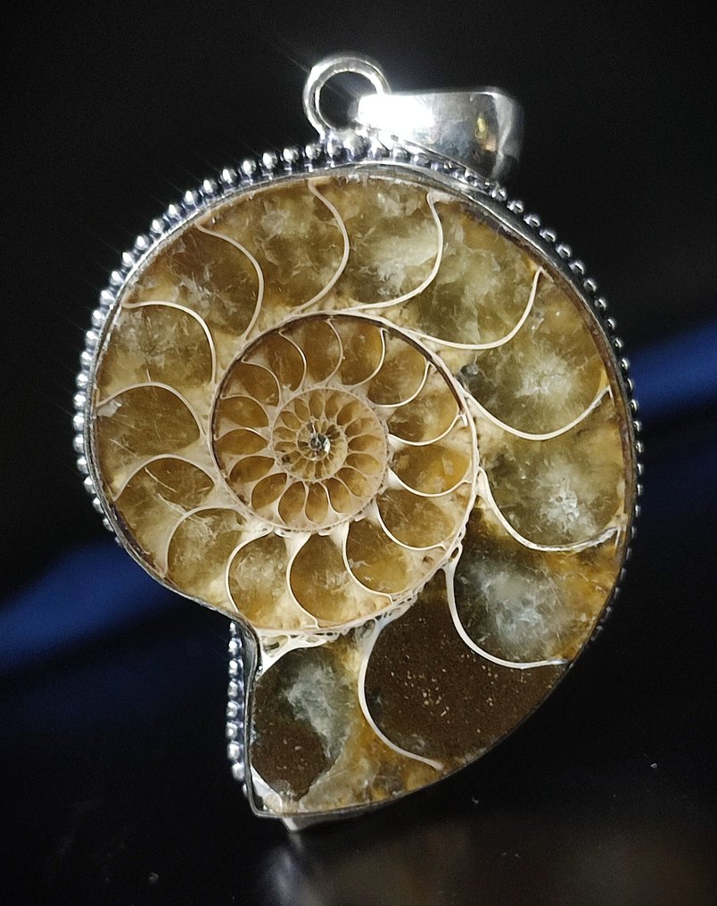 Χωρίς ελάχιστη τιμή, πολύ όμορφο, τέλειο κρεμαστό με απολιθωμένο κοχύλι και ασήμι 925. - Κρεμαστό κόσμημα #1.0