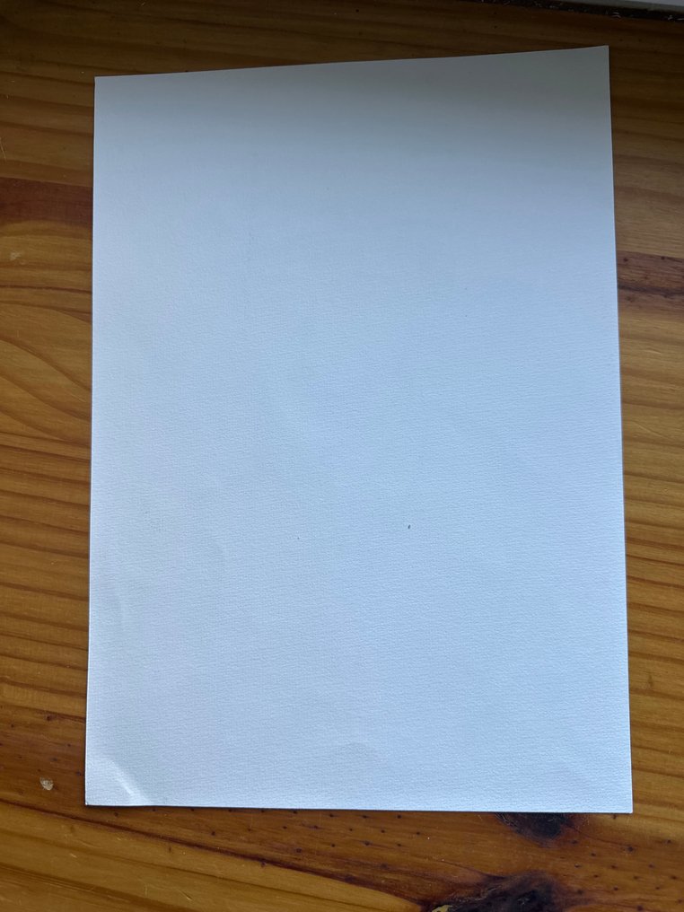 Marniquet - 1 Αυθεντικό, υπογεγραμμένο σχέδιο. - Spirits of Scotland - John Wayne - 2014 #1.0