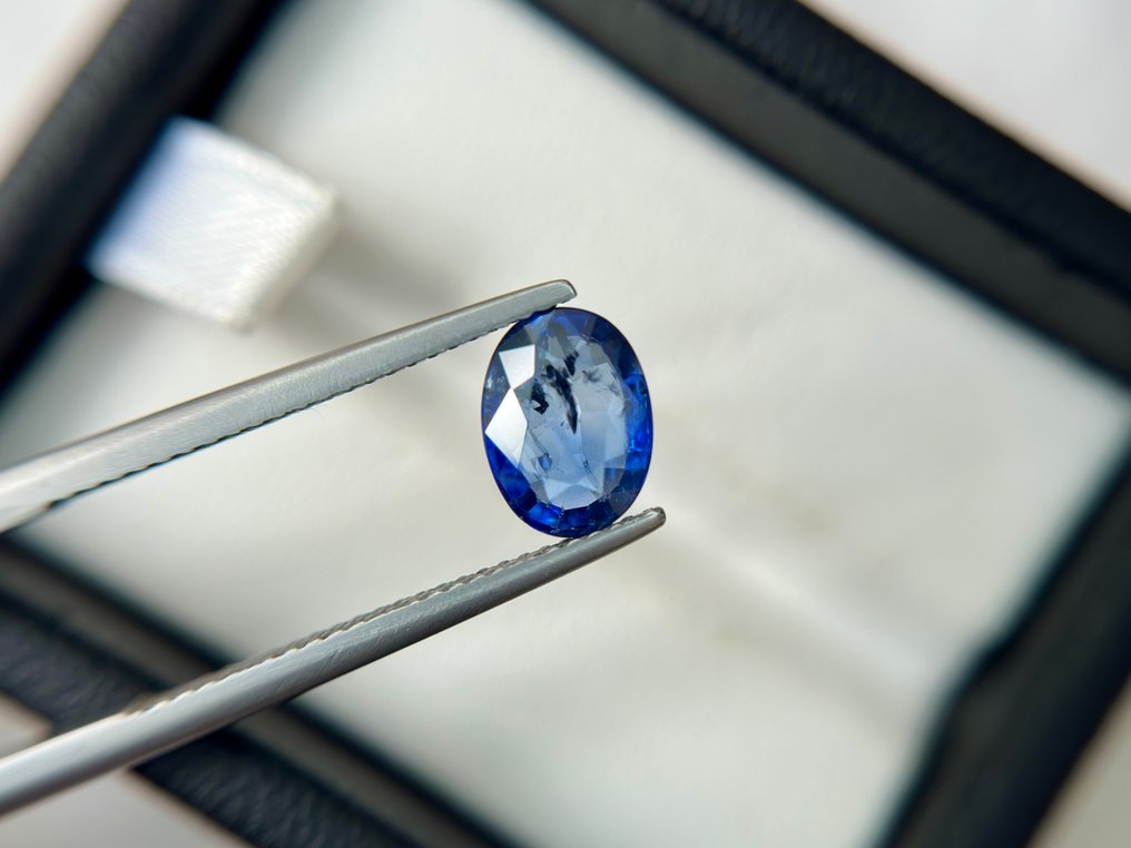 χωρίς τιμή ασφαλείας - 1 pcs  Μπλε Ζαφείρι  - 2.45 ct - Bellerophon Gemlab - Ζαφείρι Ceylon Μπλε #1.0