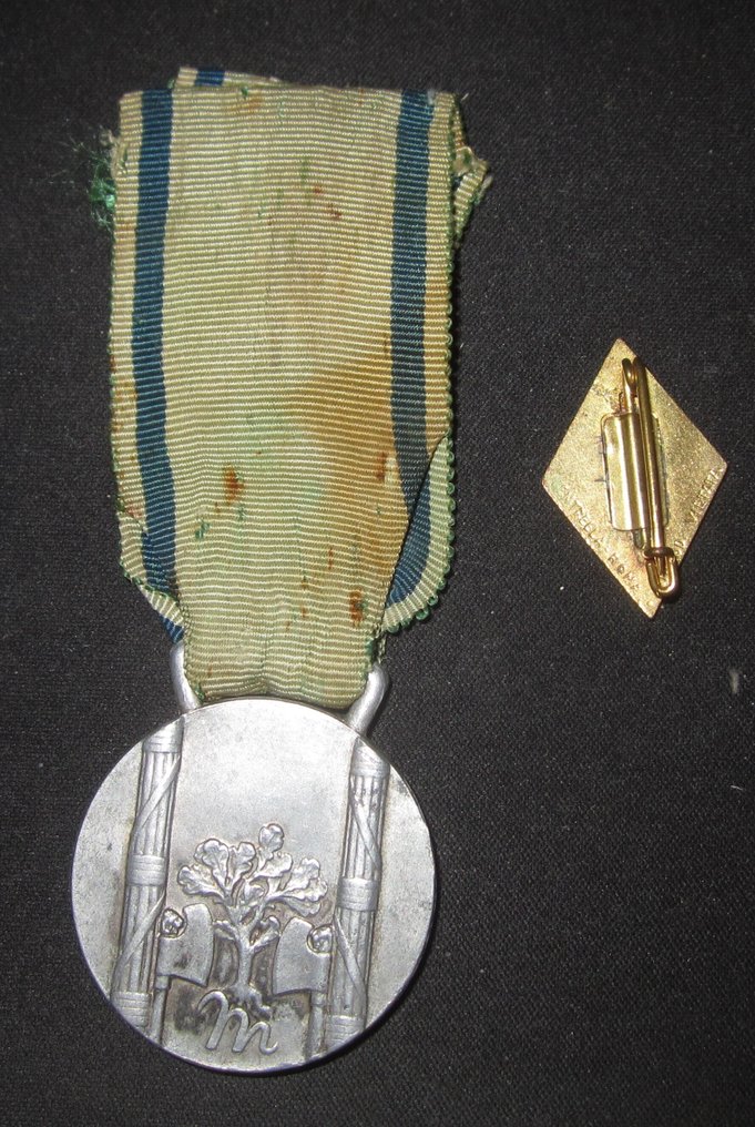 意大利 - 军事勋章 - 奖章和徽章 联盟家庭众多 #1.0