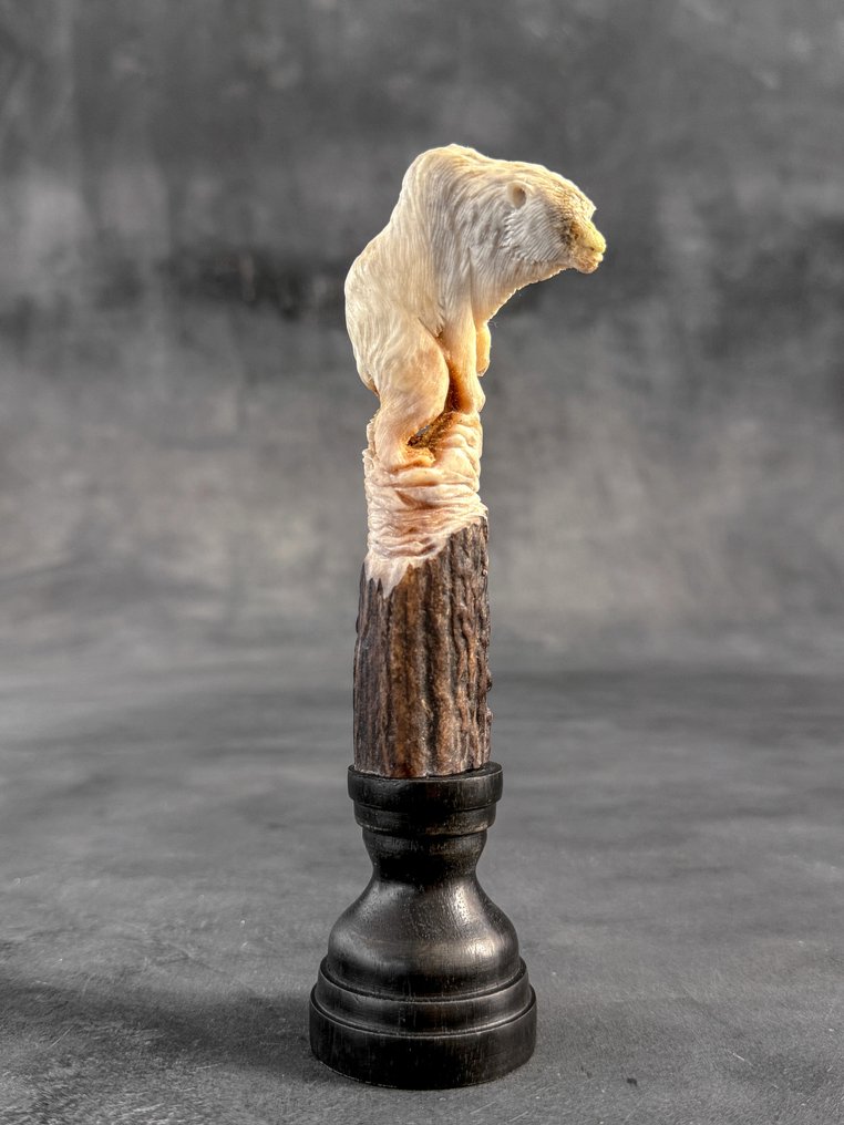 Snijwerk, NO RESERVE PRICE - Stunning Bear carving from deer antler on a custom stand - 17 cm - Hertengewei - 2025 #2.1