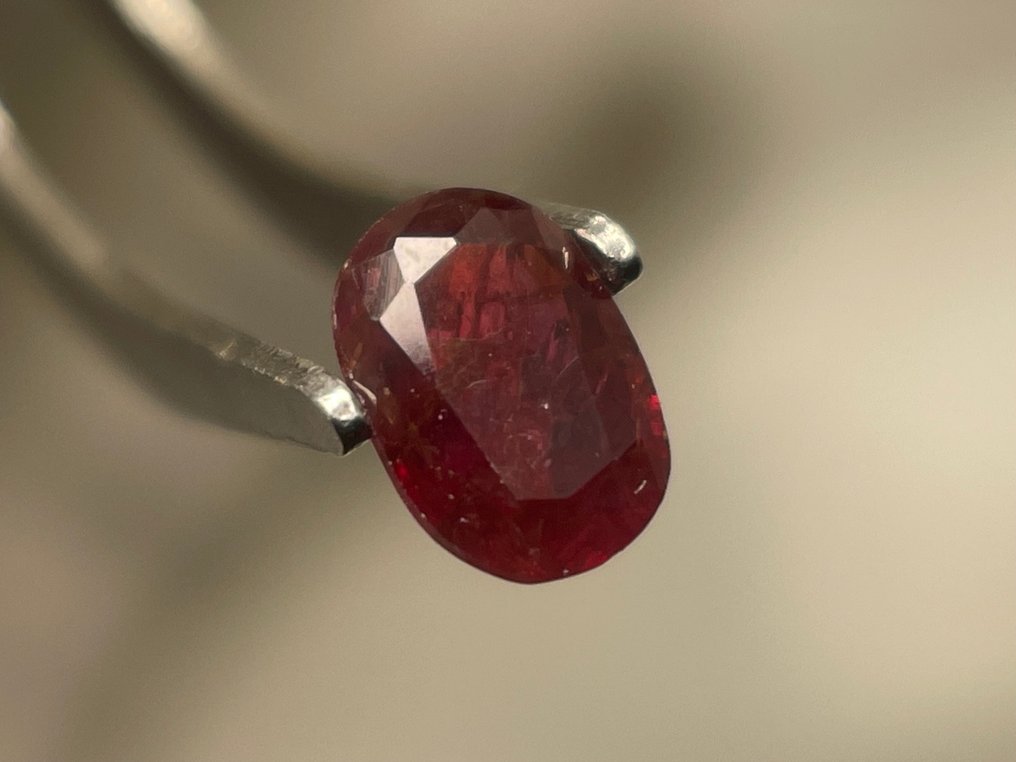 Nincs minimálár - 1 pcs Piros Rubin - 0.92 ct - Nemzetközi Gemmológiai Intézet (IGI) #1.0